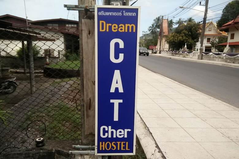 Hostal Dream Cat-cher Hostel