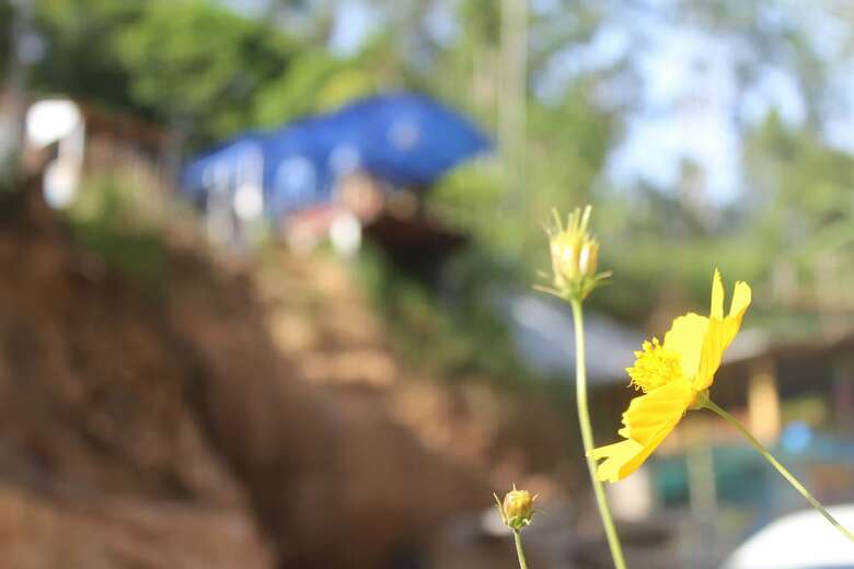 Hostal Hi Lanka Backpackers - Adults Only