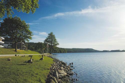 Seehotel Diekseepark Superior