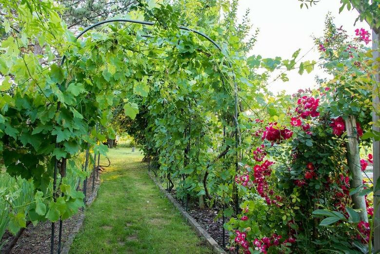 Bed & Breakfast La Belugue