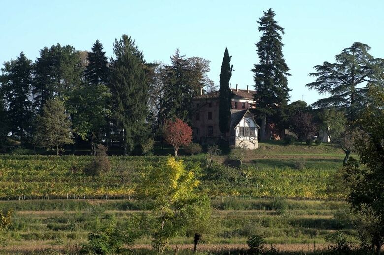 Agroturismo Casali Del Picchio - Winery