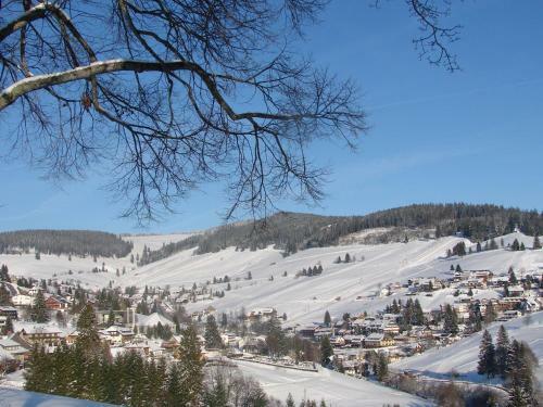 Esche