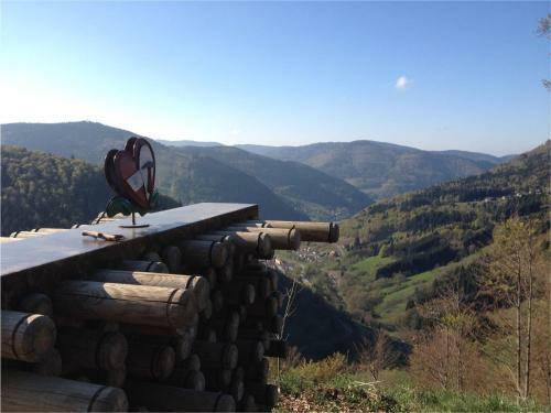 Apartamentos Pension Gl�cklehof