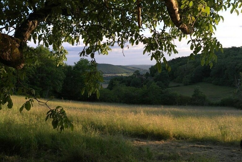 Les Tilleuls
