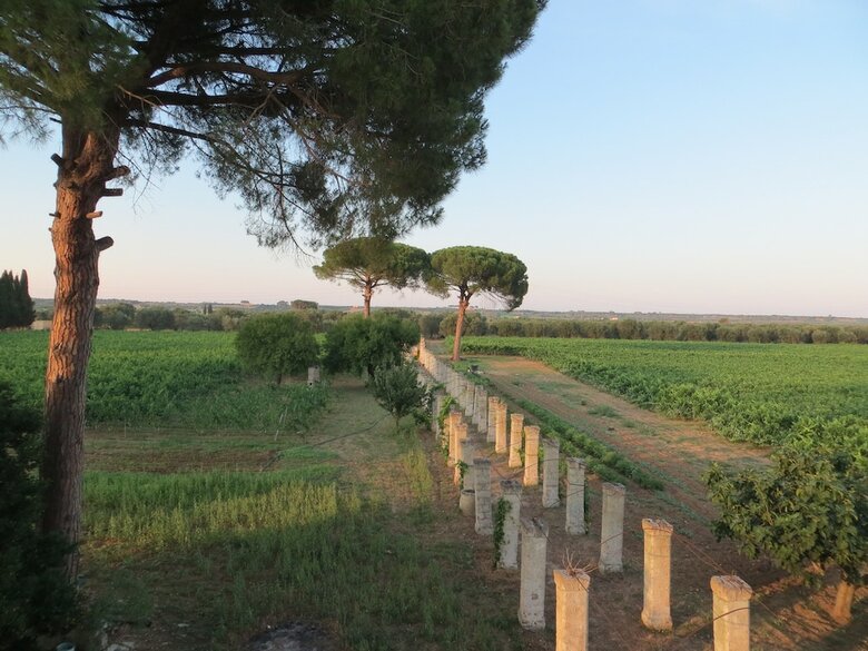 Agroturismo Agriturismo Occhineri