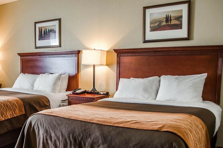 Hotel Comfort Inn & Suites Mobile Near Eastern Shore Centre