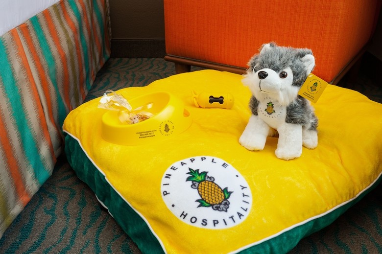 Hotel Staypineapple, University Inn, University District Seattle