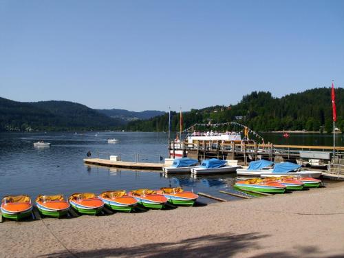 Apartamento Feldbergblick