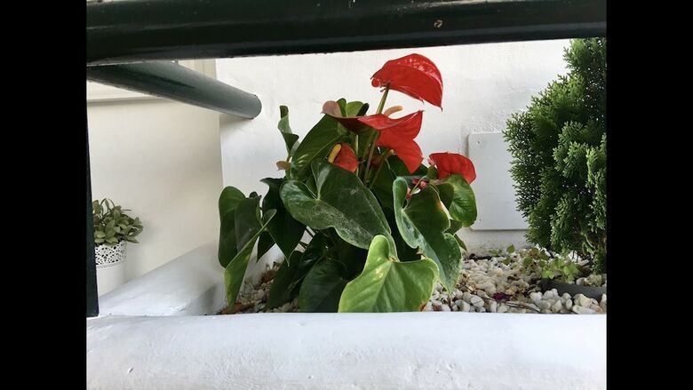 My Capricho Beach 3. Apartment With Sea Views