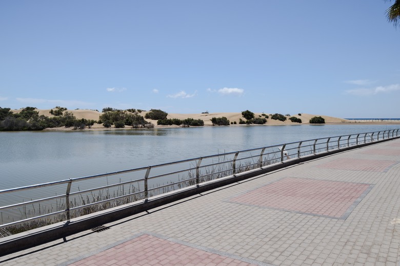 Apartamento Oasisdunas Maspalomas