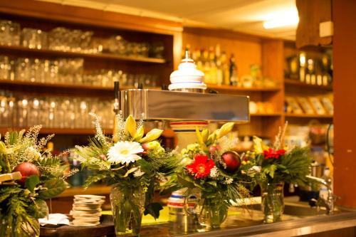 Hostal Gasthaus Zum Hirschen