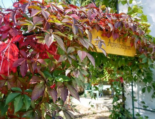 Hostal Pension Haus Friederike