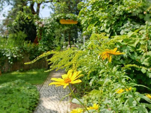 Hostal Pension Haus Friederike