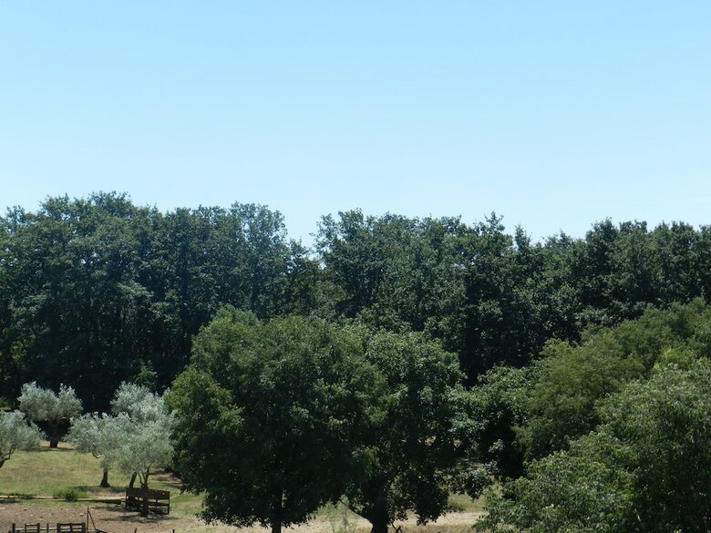 Hotel Ranch Radin