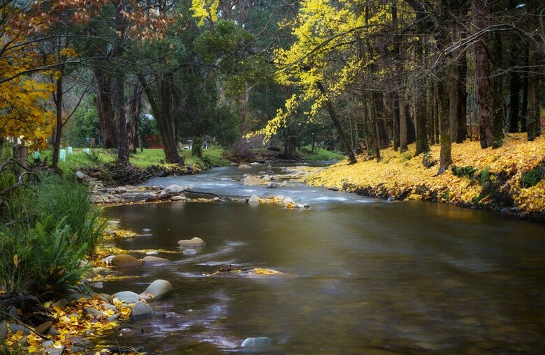 Northbank House