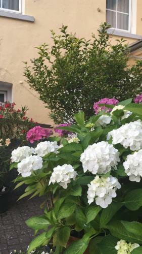 Hostal G�stehaus Priester