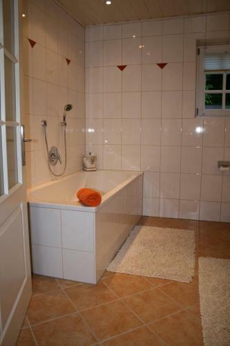Apartamento Ferienwohnung Zur Blauente