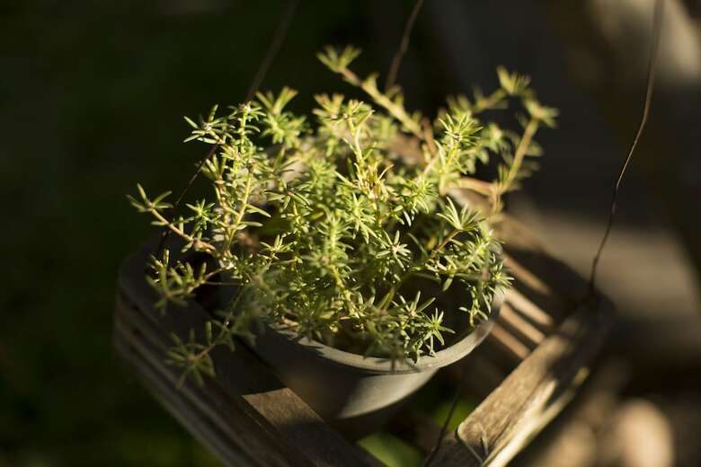 Apartamento Le Way Resort