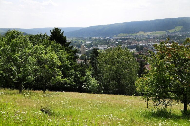 Hotel Franziskush�he Lohr