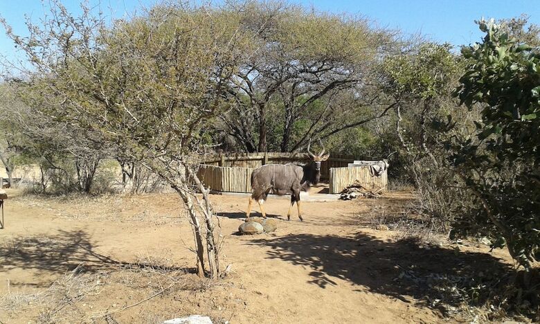 Villa Lowveld Escape