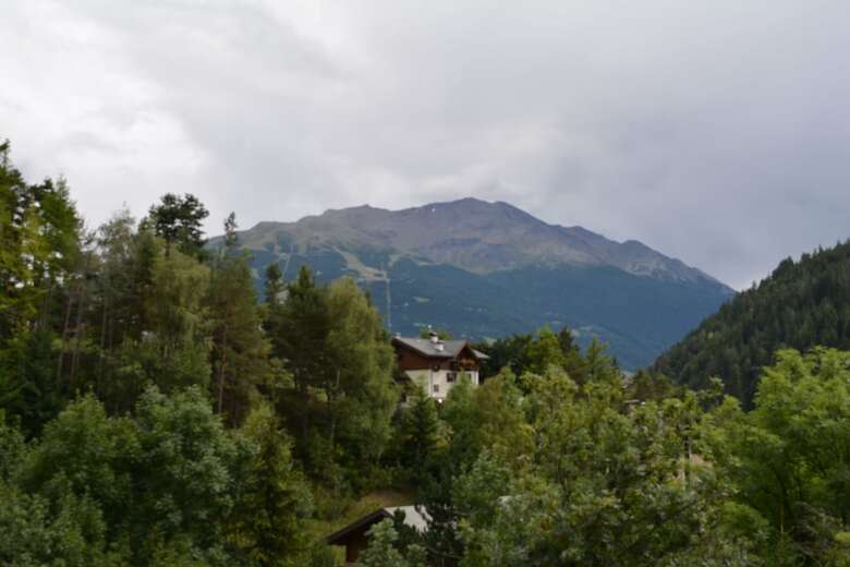 Hotel Albergo Alpina