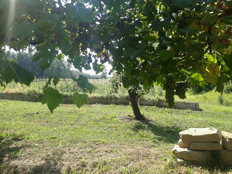 B&B Cascina Sant'elena
