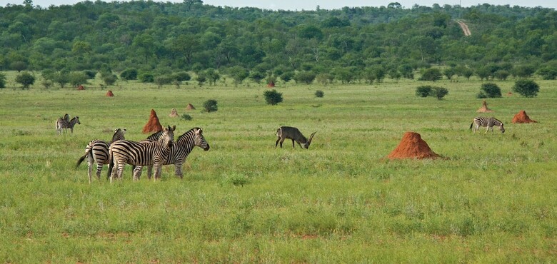 Posada Casart Game Lodge
