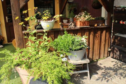 Apartamento Walnu�hof