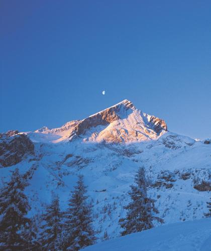 Apartamento Ferienwohnungen Zugspitze
