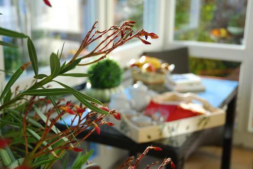 Hostal G�stehaus Angerer