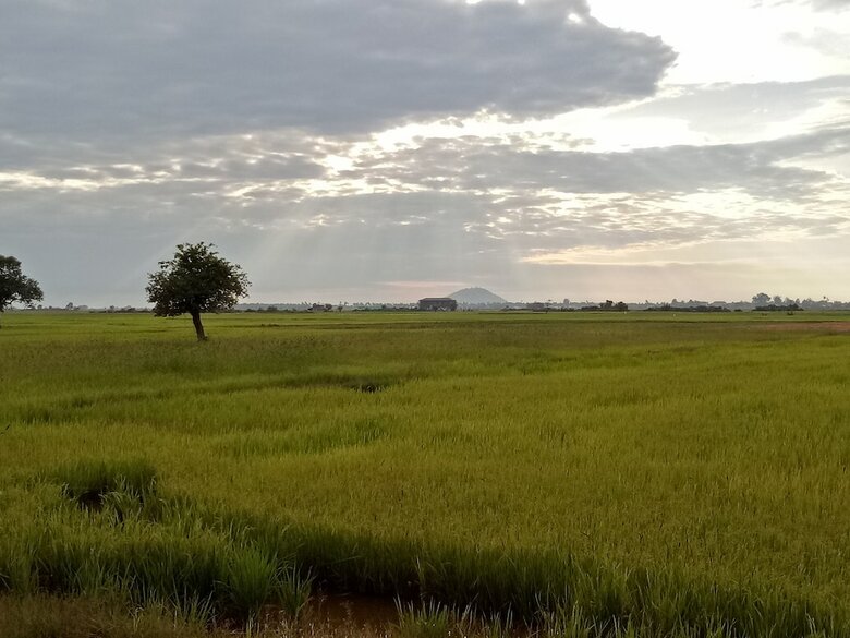 Hotel The Green Home