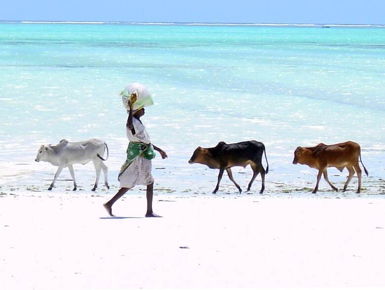 Hotel Villa Bahati Zanzibar
