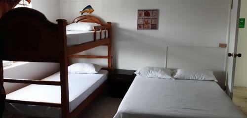 Hostal Posada Nativa Miss Zelzel Place