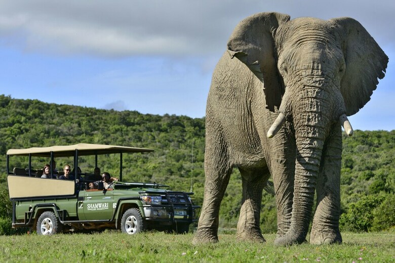 Posada Shamwari Eagles Crag - All Inclusive