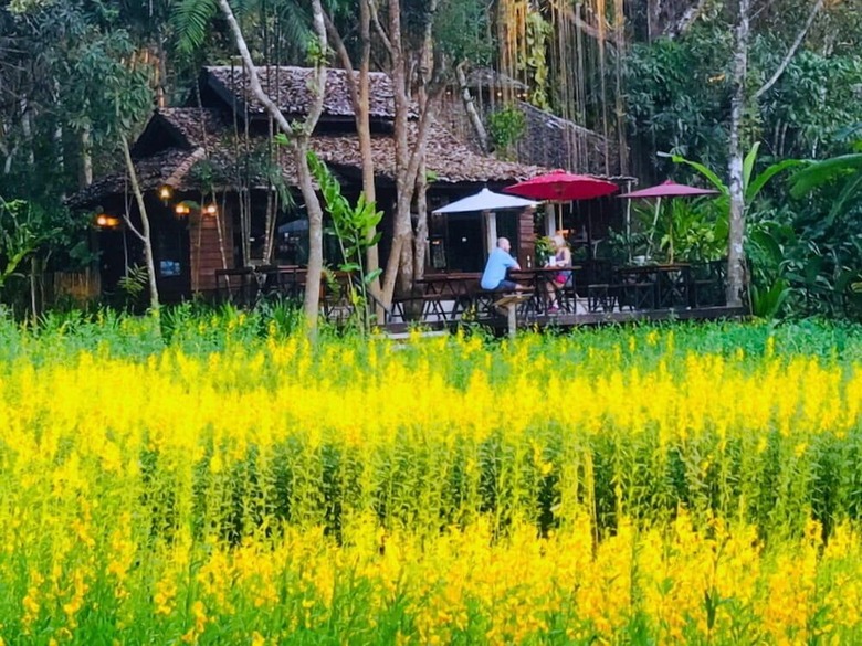 Hotel Fern Resort