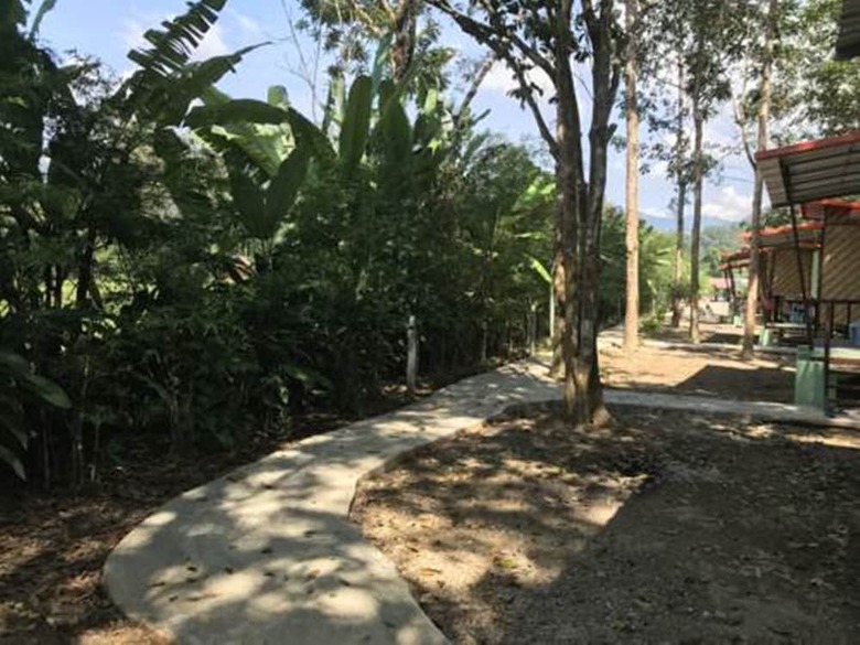 Hotel Khaosok Bamboo Huts Resort