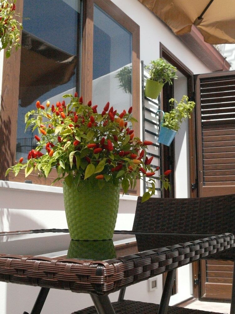Bed & Breakfast A Vanedda