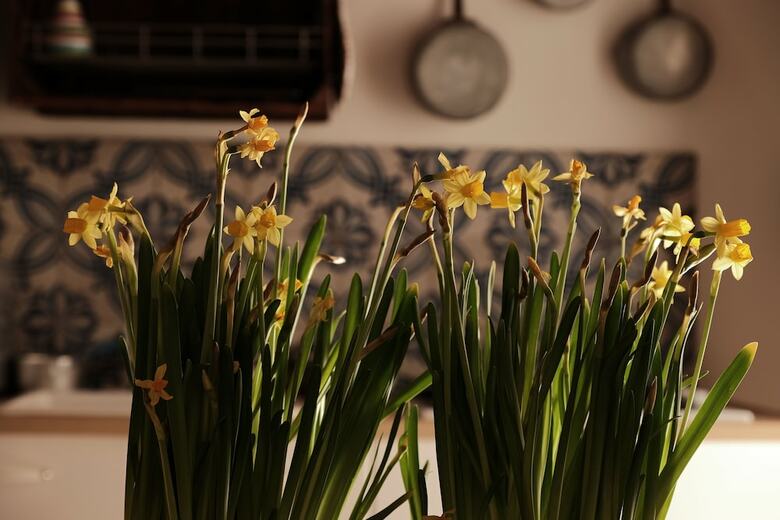 Bed & Breakfast Il Salotto Di Maria Pia