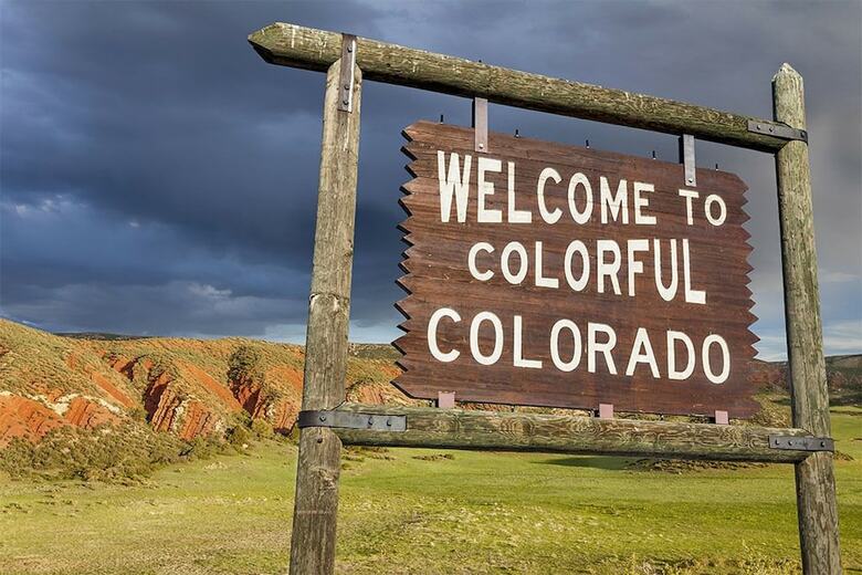 Perry Mansfield - Gray Aspen