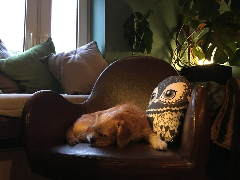 Hygge Cafe & Hotel