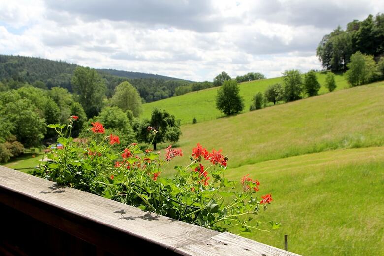 Hotel Gassbachtal & Nibelungen Caf�