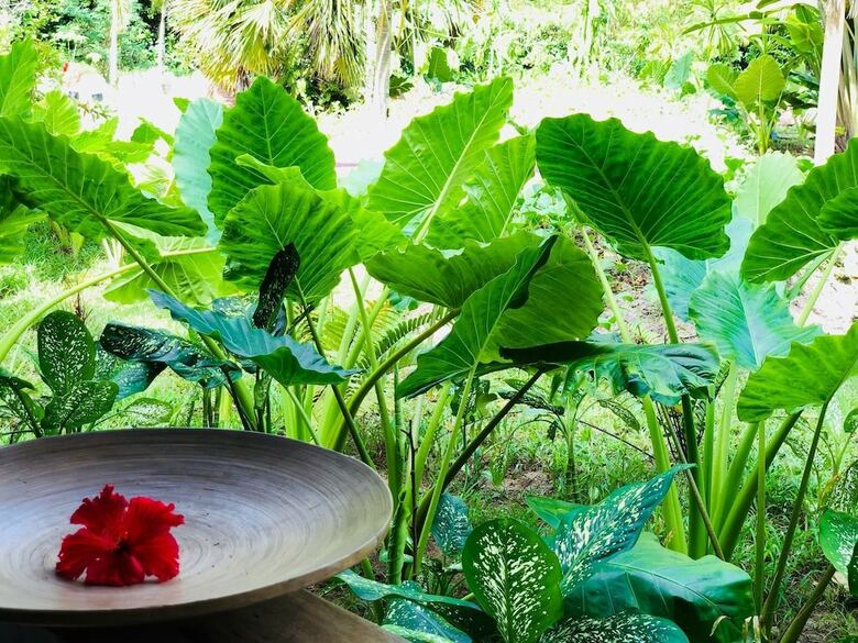 Bliss Hotel Praslin