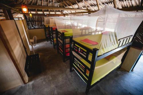 Tiki Hut Hostel