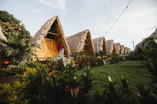 Tiki Hut Hostel