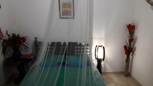 La Candelaria Coffee Farm B&B