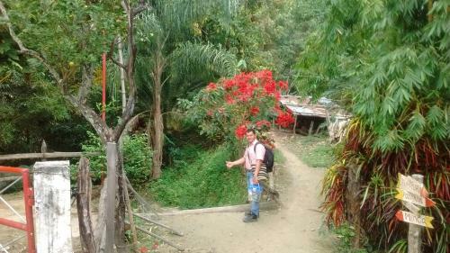 La Candelaria Coffee Farm B&B
