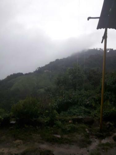 La Candelaria Coffee Farm B&B