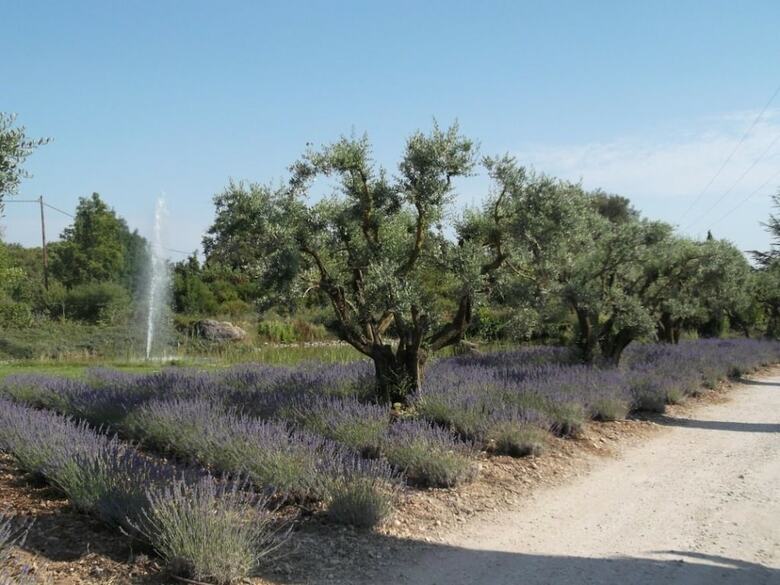 Hotel B&B Les F�rigoules