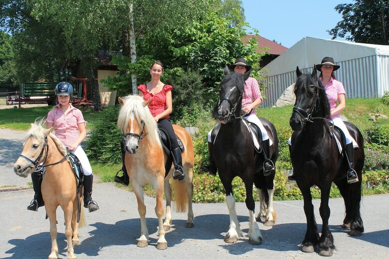 Hotel Landgasthof Riedl