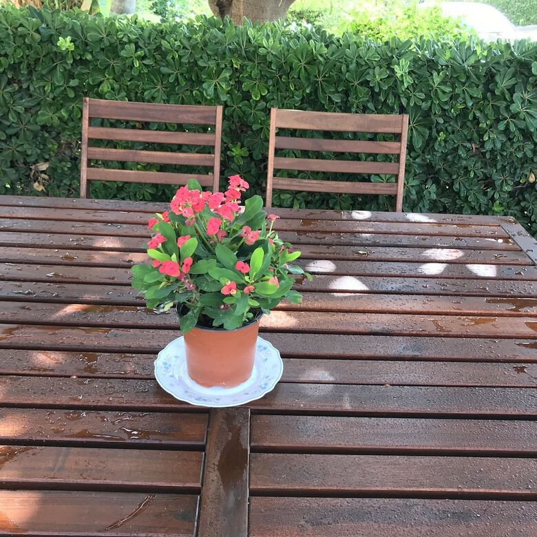 Apartamento En Esmeralda
